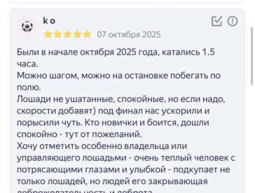 Отзывы