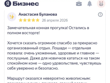 Отзывы
