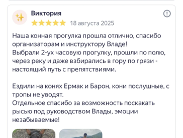 Отзывы
